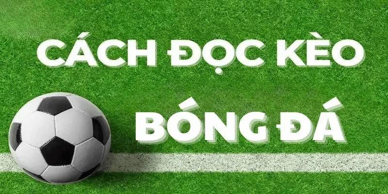 giải thích tỷ lệ kèo bóng đá Cách đọc và hiểu tỷ lệ từ dữ liệu Nowgoal