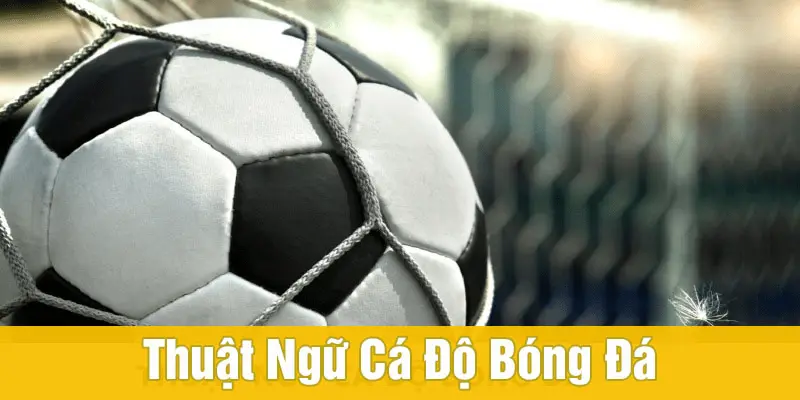 thuật ngữ cá độ bóng đá Nhóm thuật ngữ cá độ bóng đá phổ biến